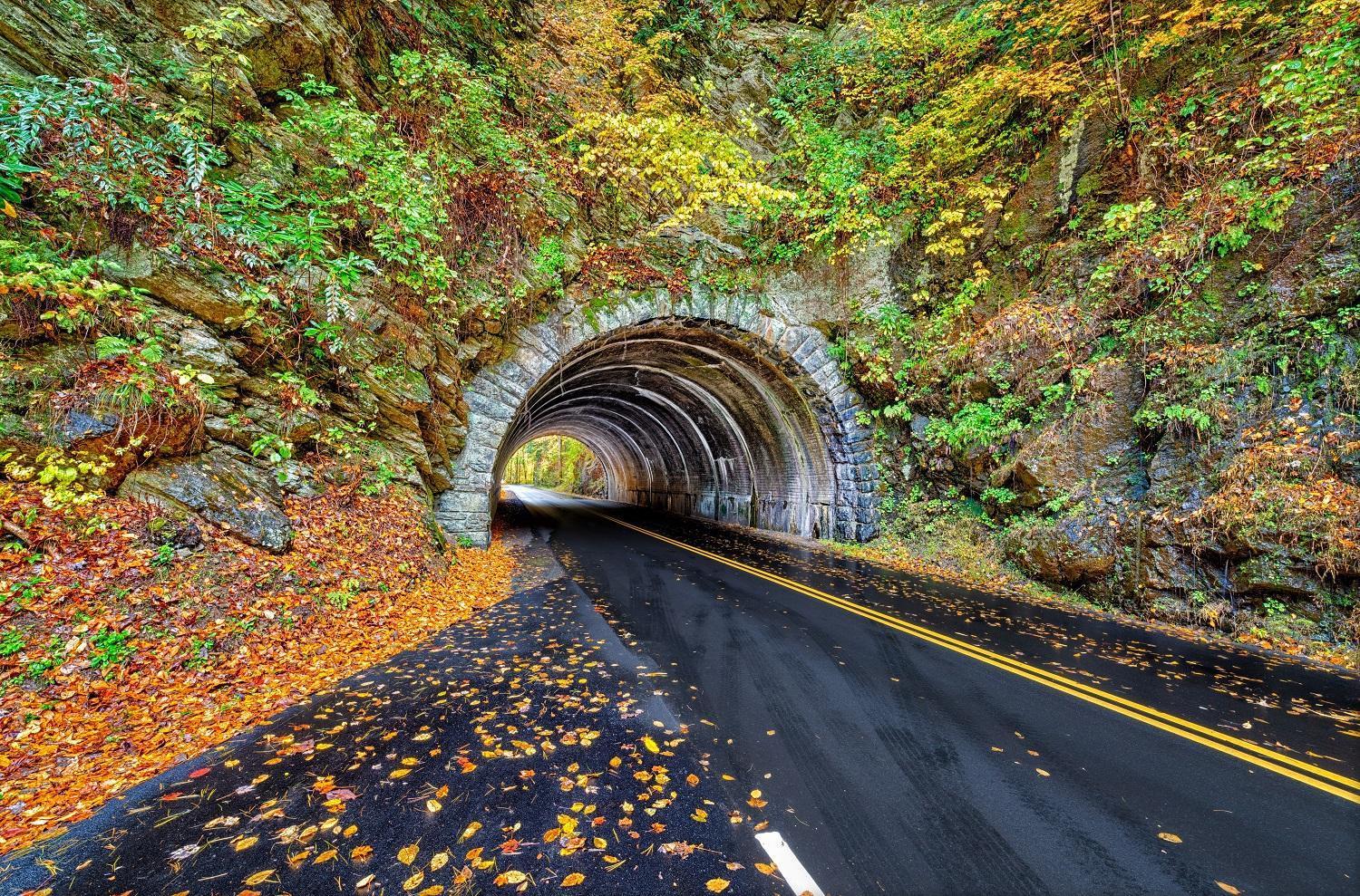 Time To Cuddle, Wifi, Near Pigeon Forge, 1089 Free Tickets Each Paid Day, Dollywood And More ภายนอก รูปภาพ