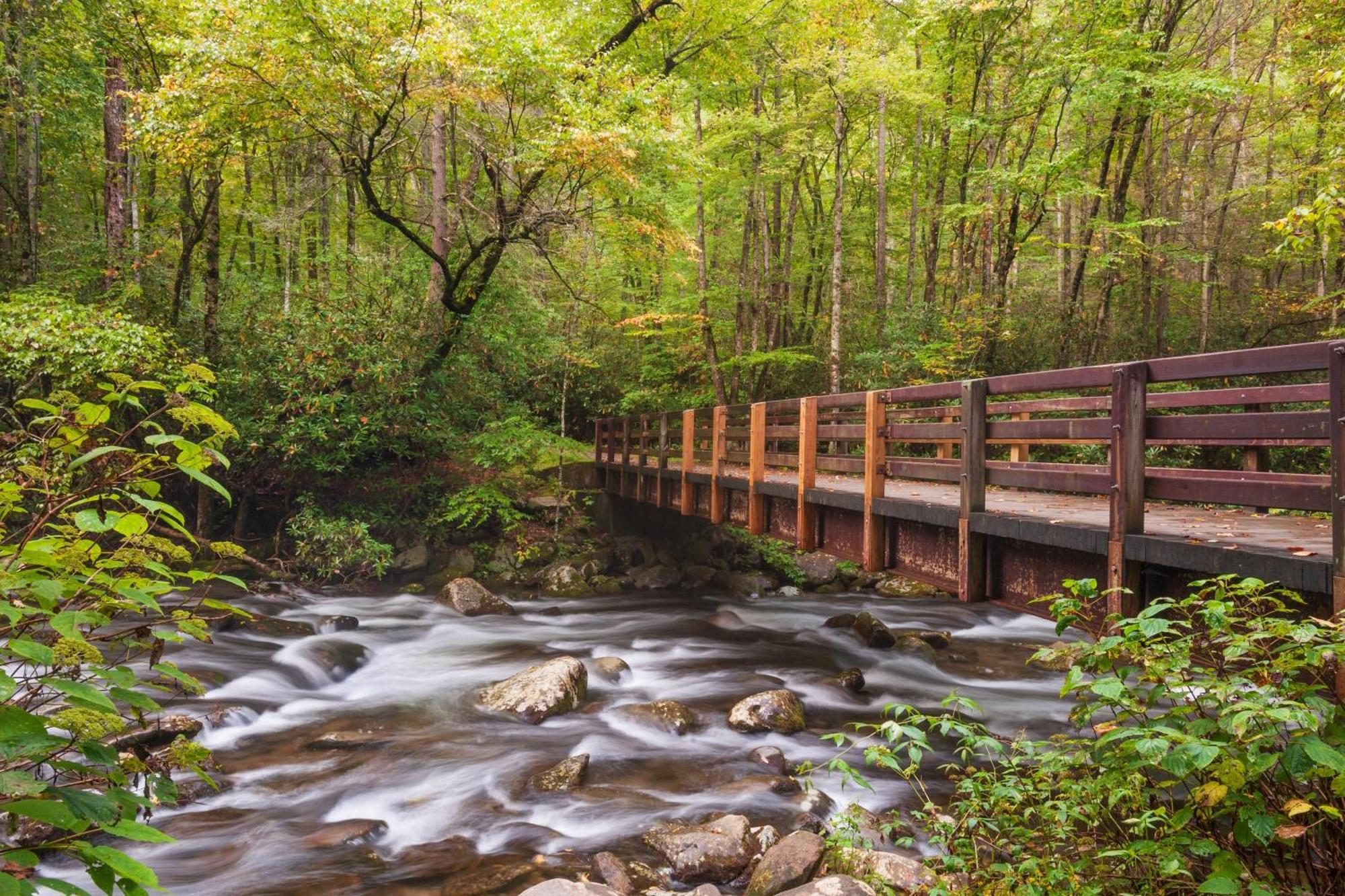 Time To Cuddle, Wifi, Near Pigeon Forge, 1089 Free Tickets Each Paid Day, Dollywood And More ภายนอก รูปภาพ