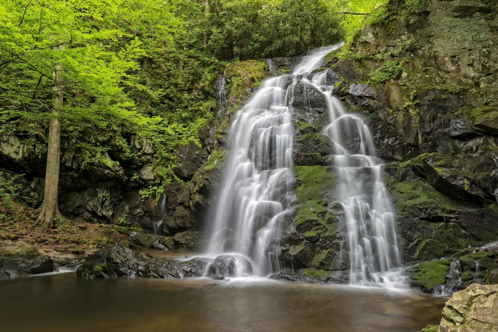 Time To Cuddle, Wifi, Near Pigeon Forge, 1089 Free Tickets Each Paid Day, Dollywood And More ภายนอก รูปภาพ