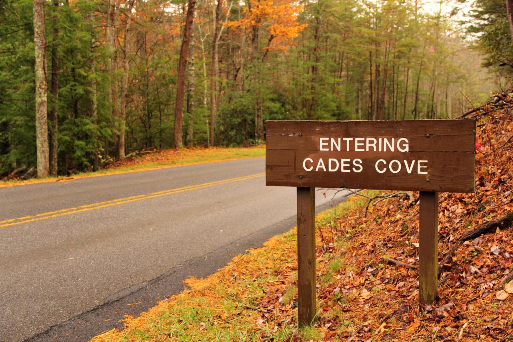Time To Cuddle, Wifi, Near Pigeon Forge, 1089 Free Tickets Each Paid Day, Dollywood And More ภายนอก รูปภาพ